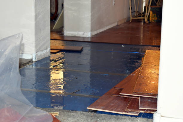 Professional Burst Pipe Cleanup technician working in Mitchell, IL
