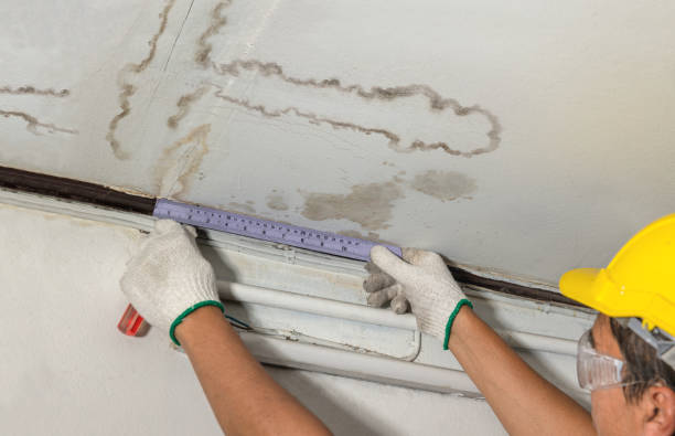 Reliable Burst Pipe Cleanup contractor in Mitchell, IL by Water Damage Irwin